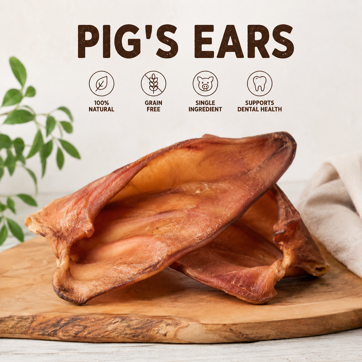 Pigs Ears Loose
