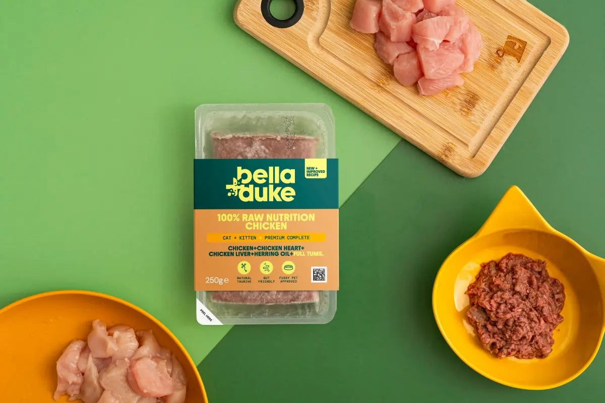 Bella & Duke Cat + Kitten Chicken 250g