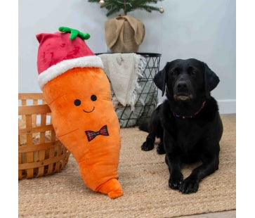Ancol Giant Karl the Carrot Dog Toy product image