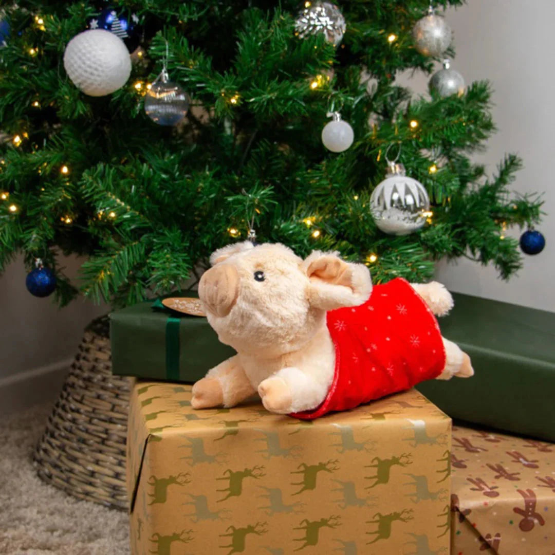 Ancol Paloma Pig in Blanket Dog Toy product image