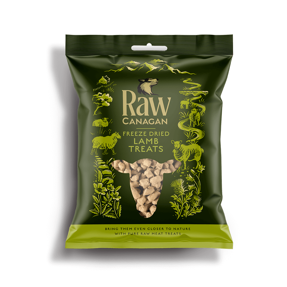 Canagan Raw Freeze Dried Lamb Treats 20g product image