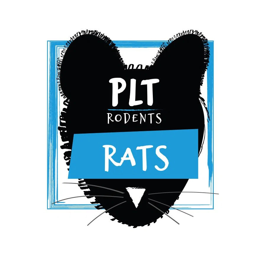 Frozen Rats Weaner Small product image