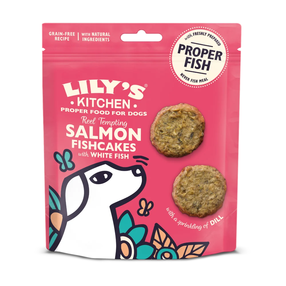 Lily's Kitchen Reel Tempting Salmon Fishcakes with White Fish 70g product image