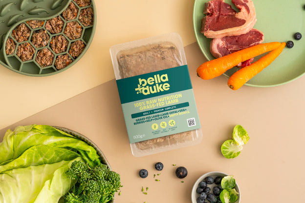 Bella & Duke Adult Complete Grass Fed Lamb 500g
