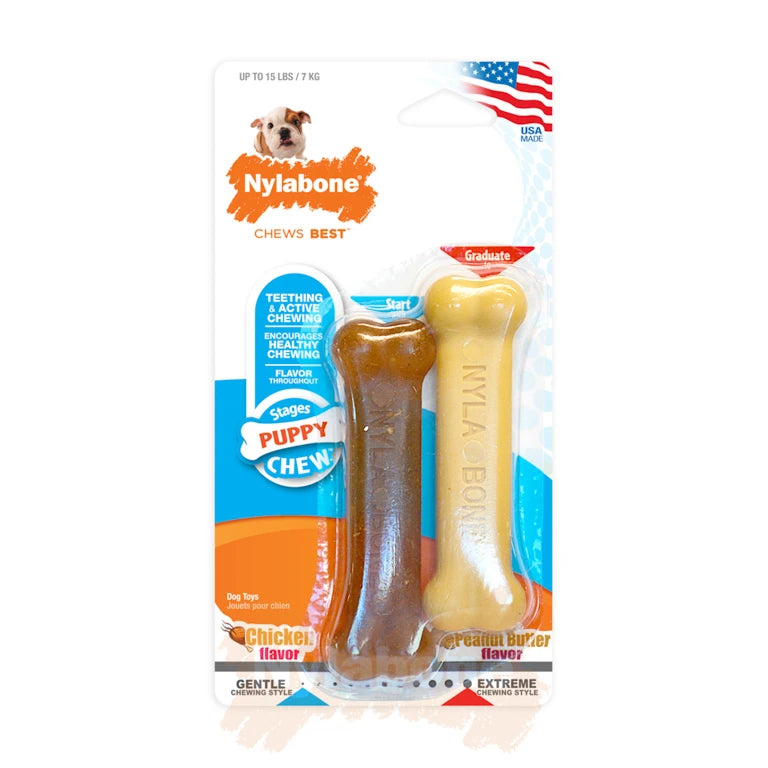 Nylabone Chicken & Peanut Butter Twin Pack product image
