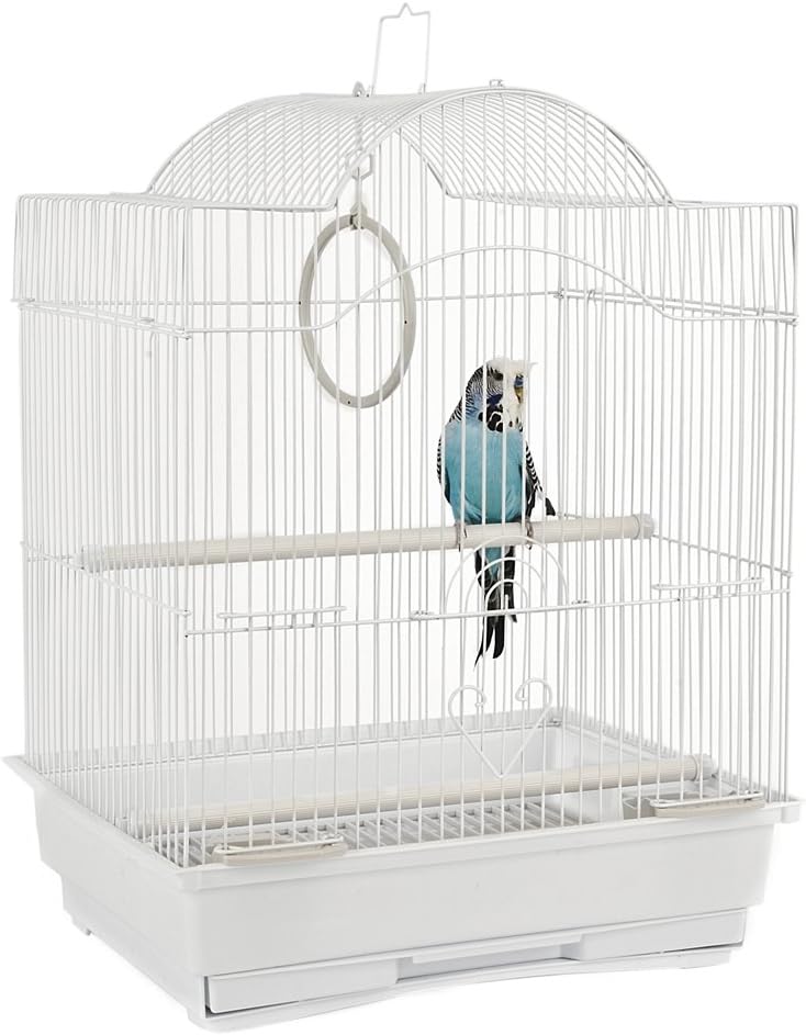 Rainforest Panama Cage product image