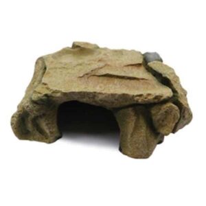 Mad Lizard Cave 7