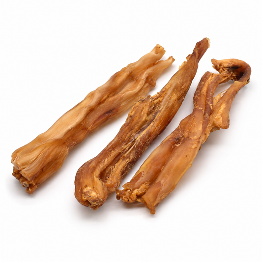 Large Chewy Tendons