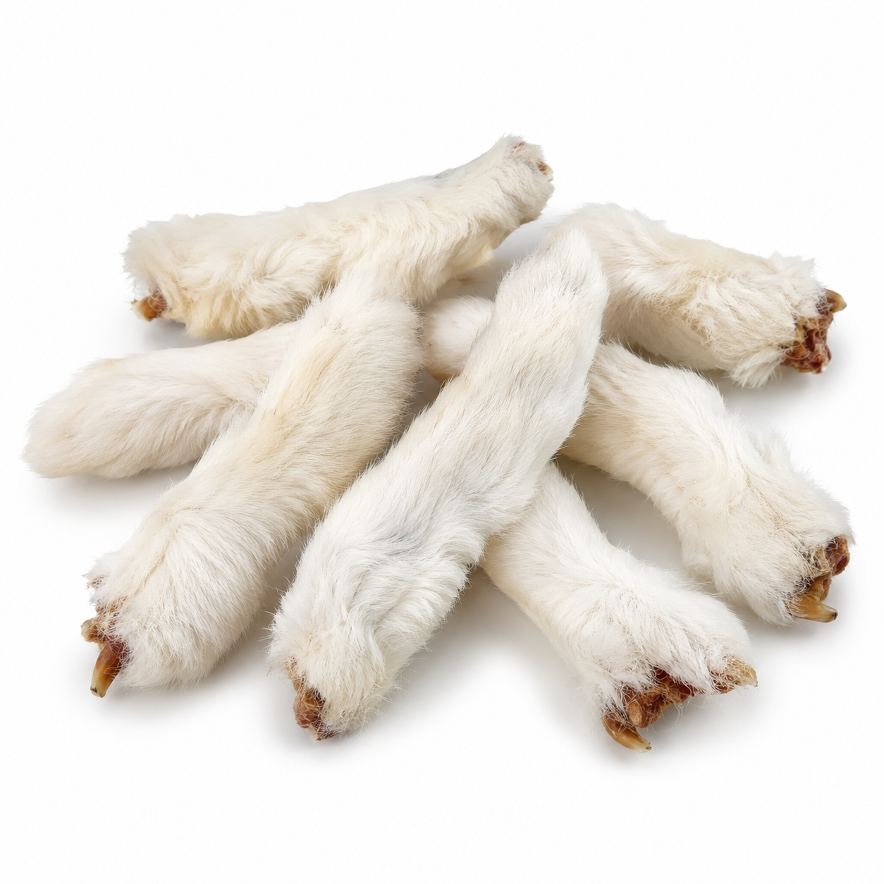 Rabbit Feet