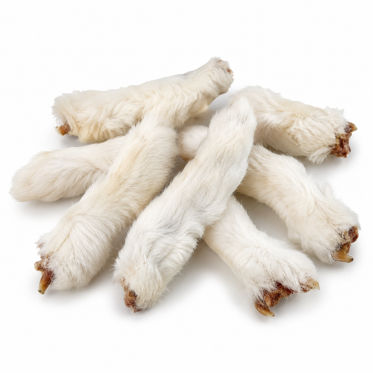 Rabbit Feet