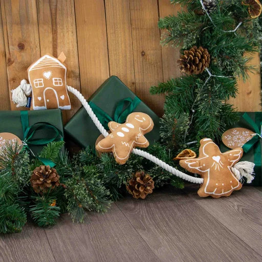 Ancol Gingerbread Rope Dog Toy product image