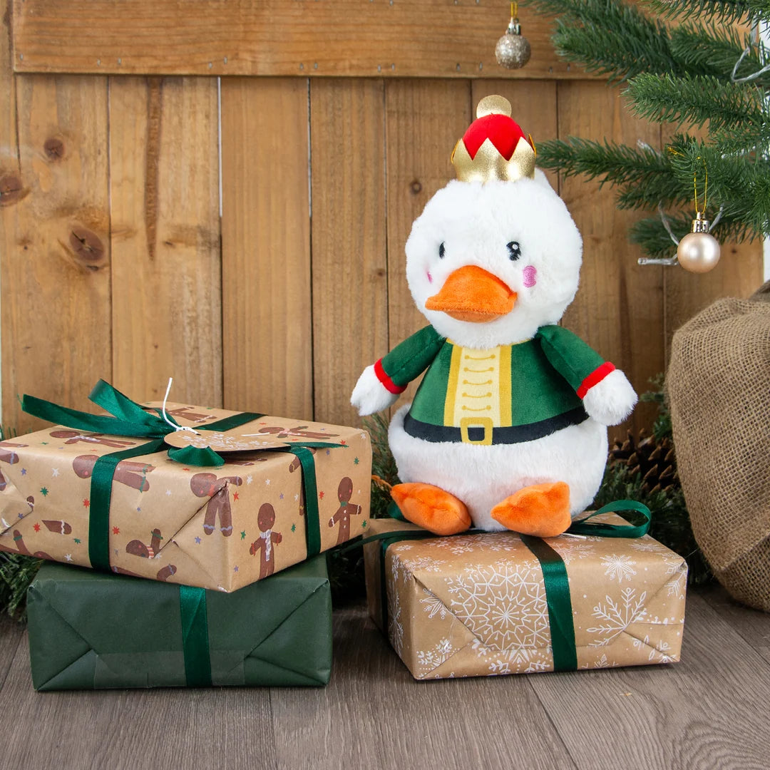 Ancol Nut Quacker Dog Toy product image