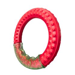 Aqua Dog Fling Ring Red product image