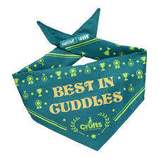 BARK Winner's Bandana product image