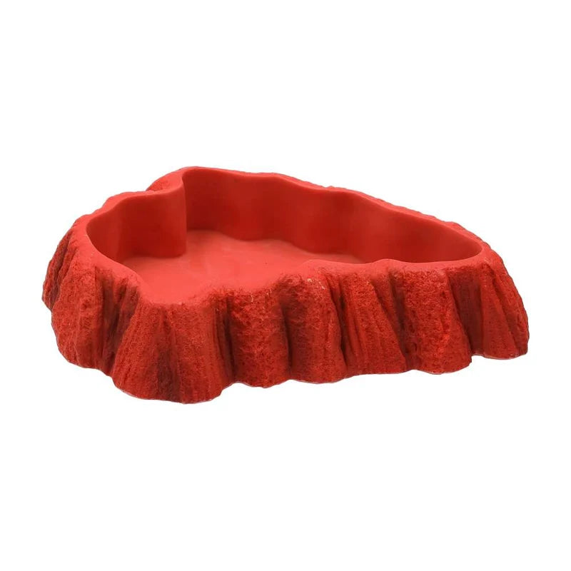 Beardie Tucker Dish product image