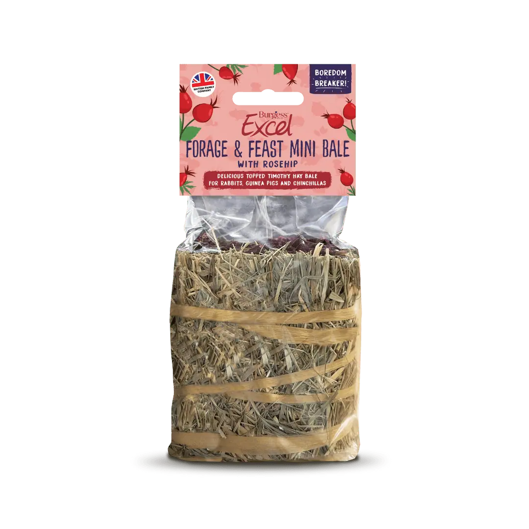 Burgess Excel Forgage & Feast Mini Bale With Rosehip 100g product image