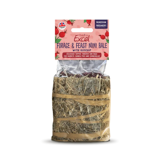 Burgess Excel Forgage & Feast Mini Bale With Rosehip 100g product image