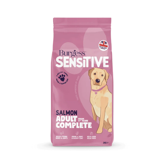 Burgess Sensitive Adult Dog Salmon 2kg product image