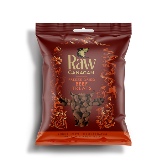 Canagan Raw Freeze Dried Treats - Beef 20g product image