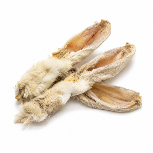 Rabbit Ears With Fur Single