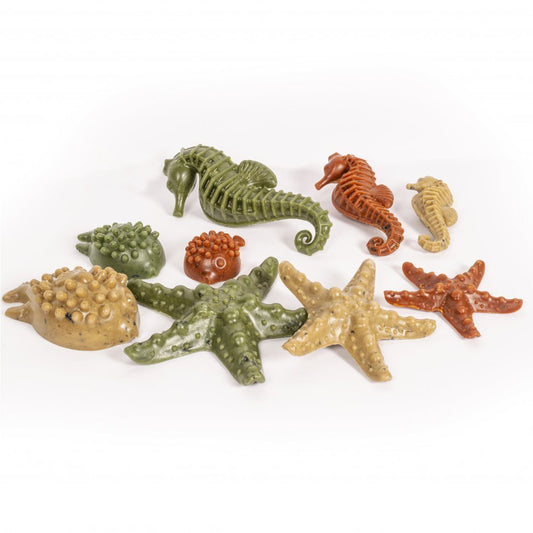 Elkwood Vegetable Sea Creatures product image