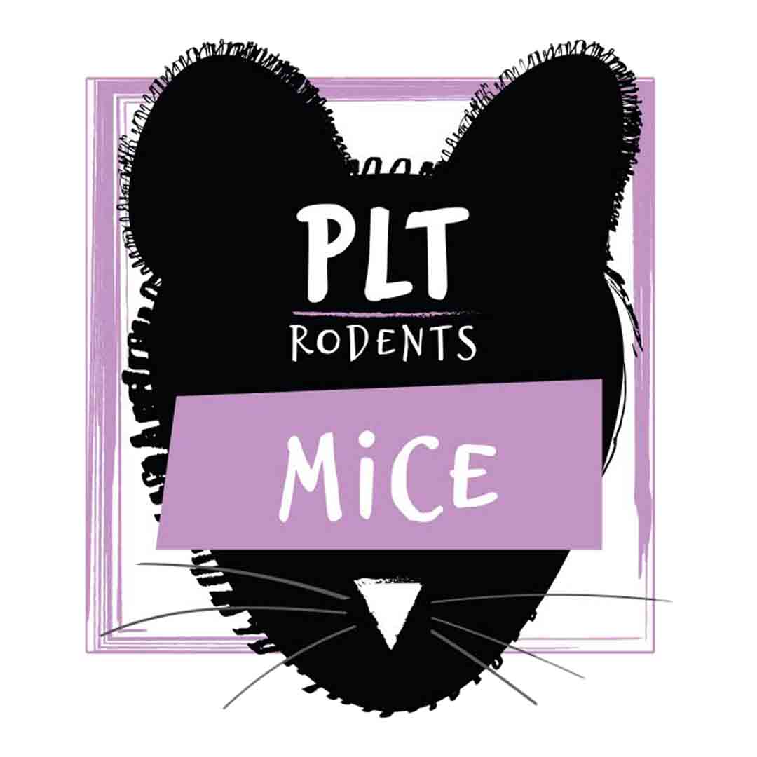 Frozen Mice Small product image