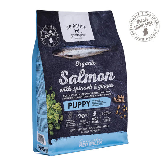 Go Native Puppy Salmon with Spinach and Ginger 12kg product image