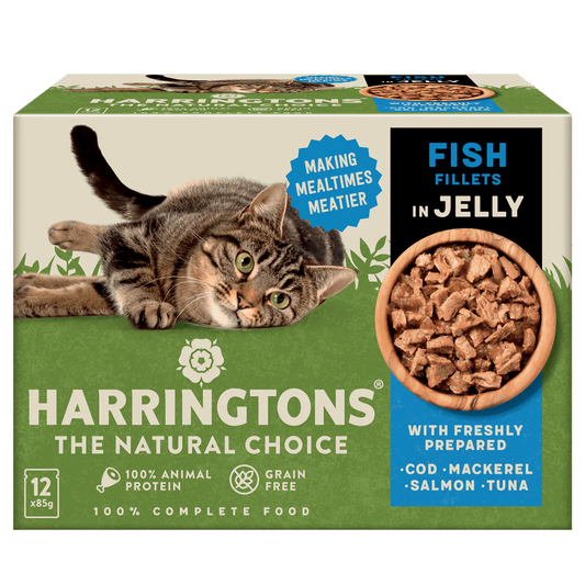 Harringtons Cat Wet Fish Fillets In Jelly 12x85g product image