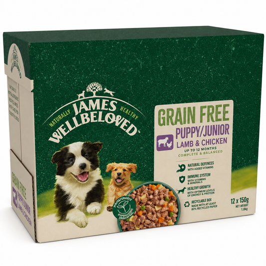 James Wellbeloved Dog Pouch Puppy Grain Free Lamb 12X90g product image