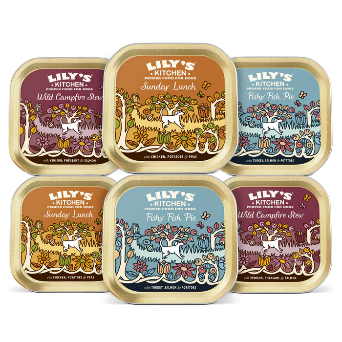 Lily's Kitchen Dog Tray Grain Free Recipes Multipack 6x150g product image