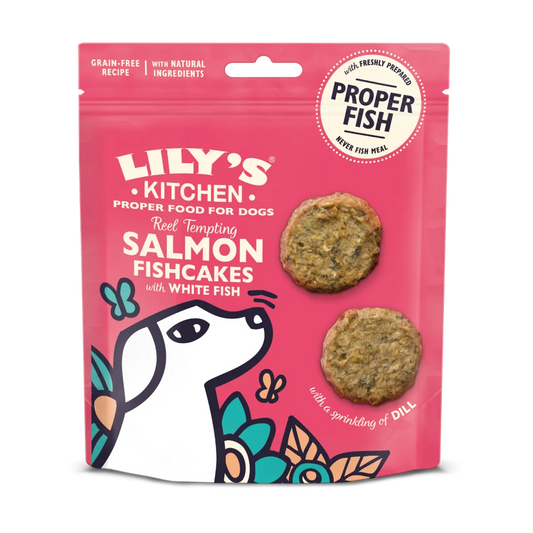 Lily's Kitchen Reel Tempting Salmon Fishcakes with White Fish 70g product image