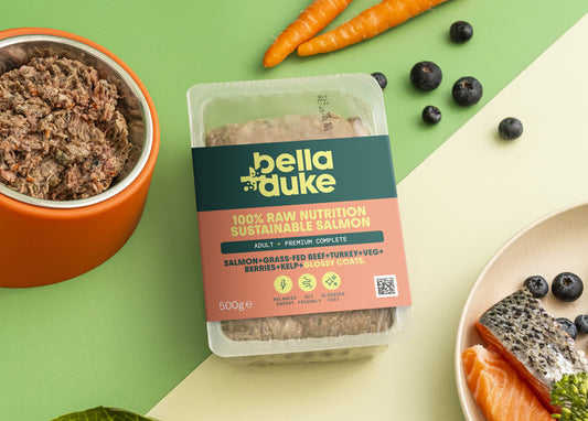 Bella & Duke Puppy Complete Sustainable Salmon 500g