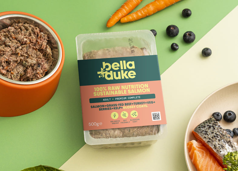 Bella & Duke Adult Complete Sustainable Salmon 500g
