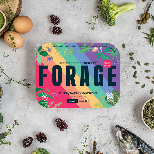 Naturaw Forage Turkey & Rainbow Trout 500g product image