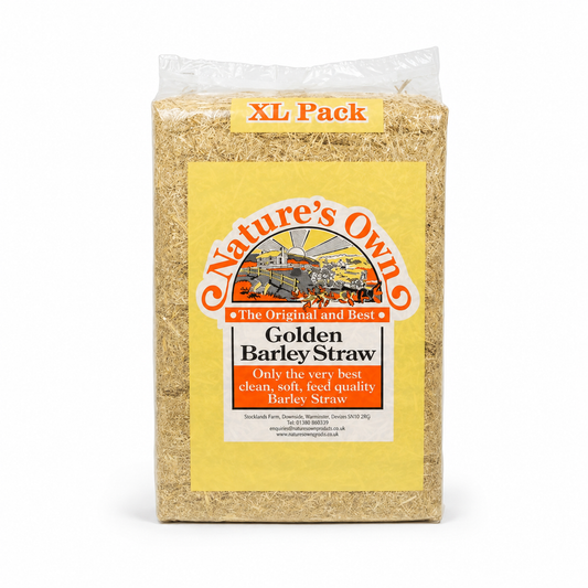 Nature's Own Golden Barley Straw XL product image