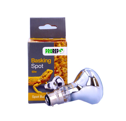 ProRep Basking Spot Lamp 60W BC product image