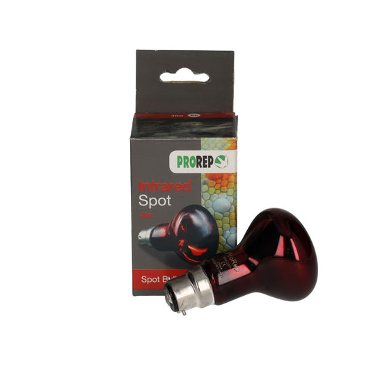 ProRep Infrared Spot Lamp 40W BC product image