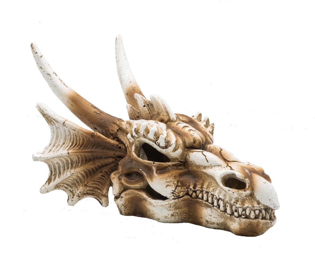 ProRep Dragon Skull Medium product image