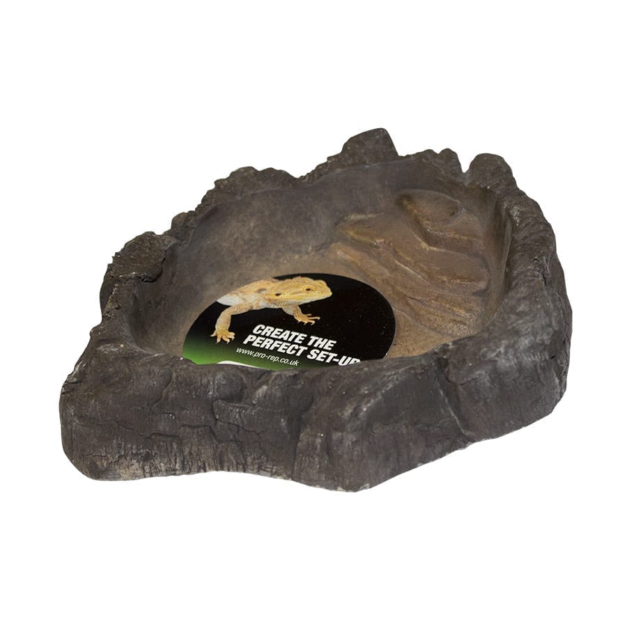 ProRep - Terrarium Bowl Wood - Large product image