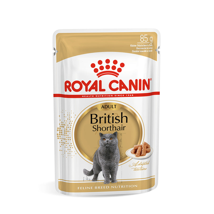 Royal Canin Cat British Shorthair in Gravy Pouches 12 x 85g product image