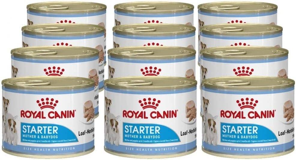 Royal Canin Dog Starter Mousse 12 x 195g product image